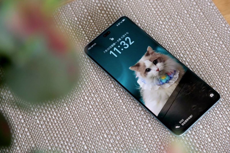 用了两个月了，先来个荣耀200 Pro图赏