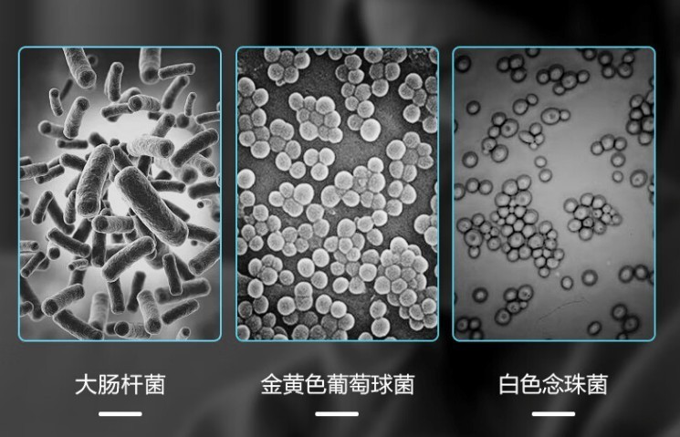 内裤洗衣机需要一人一台吗？迷你洗衣机排名前十名