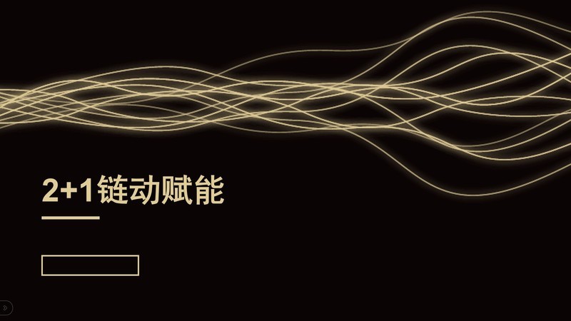 链动二加一模式：合法性深度剖析