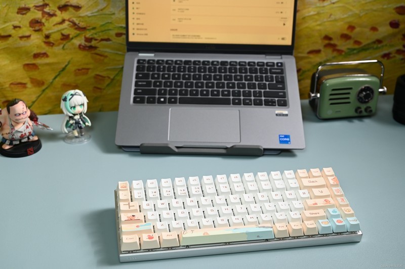 设计超萌的机械键盘，超有手感还不吵人，雷柏MT510PRO键盘上手