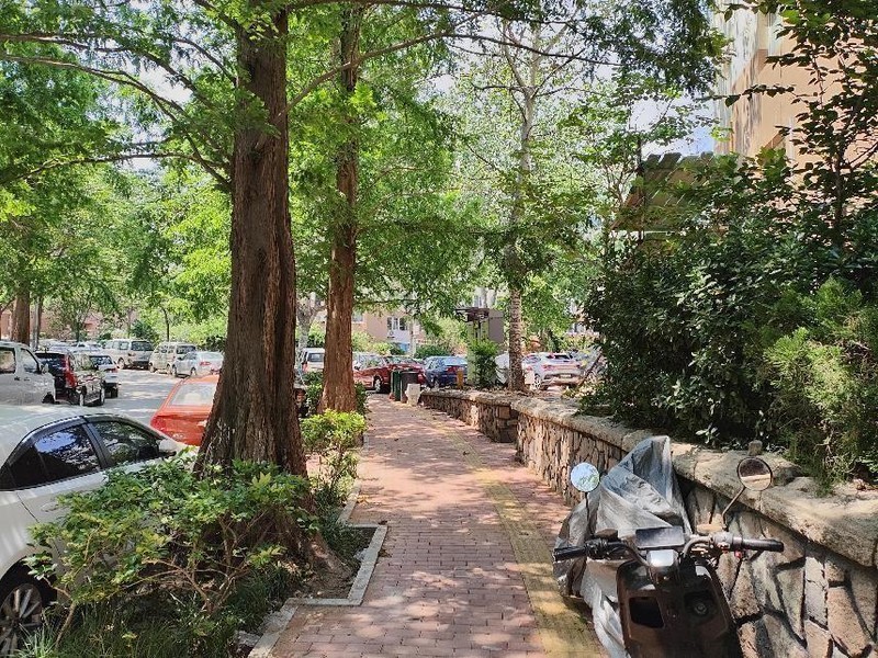 小巧便携颜值高，3999元即可到手的Moto Razr40上手体验