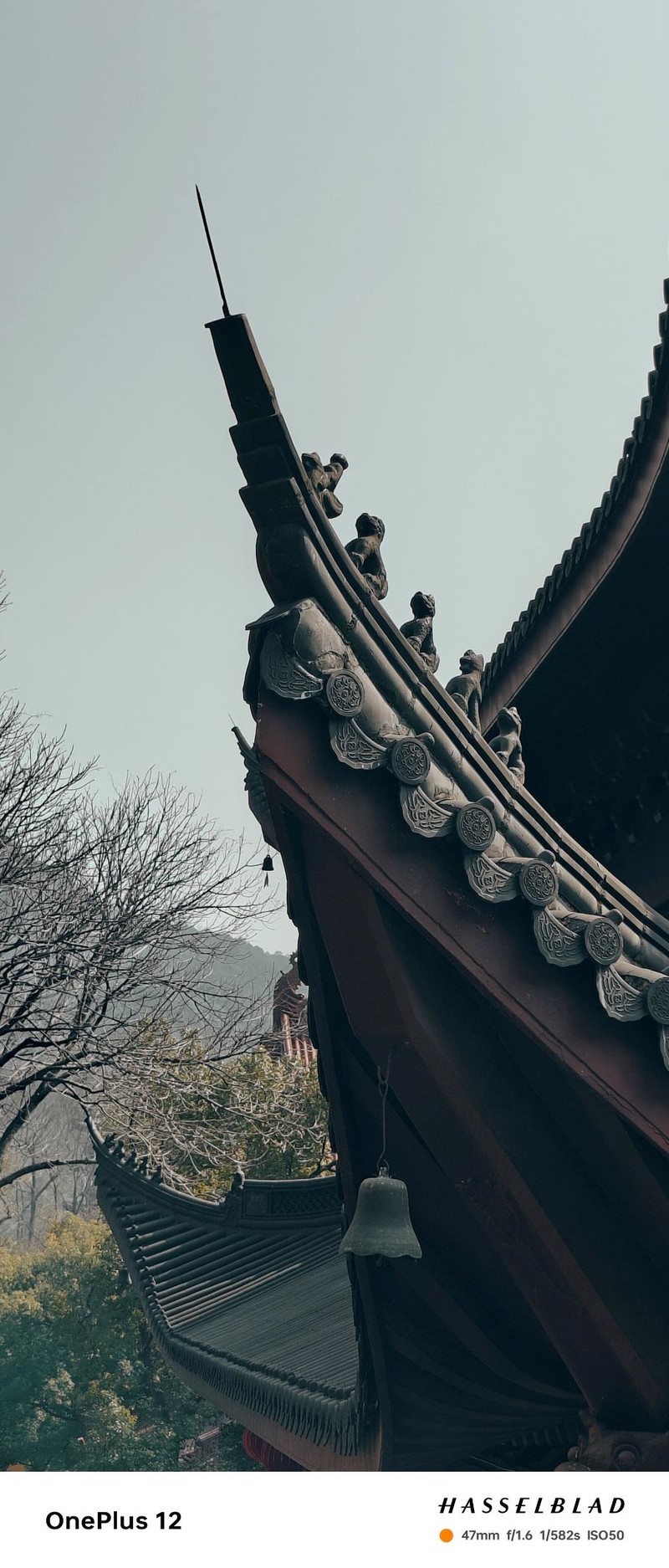 一加12影像深度评测!这哈苏味道,还要啥微单