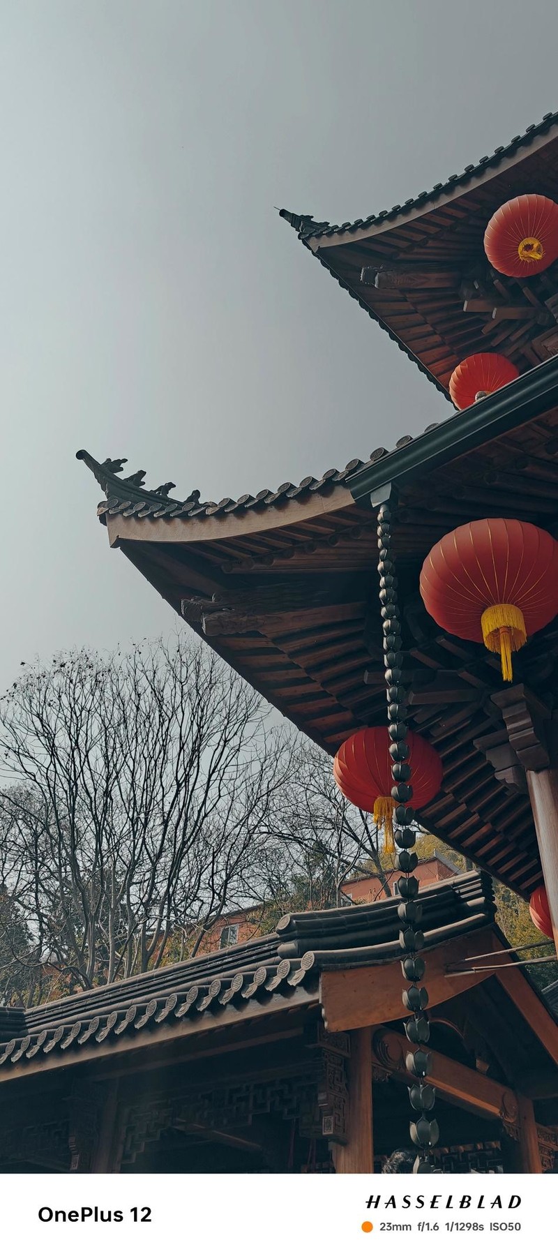 一加12影像深度评测!这哈苏味道,还要啥微单