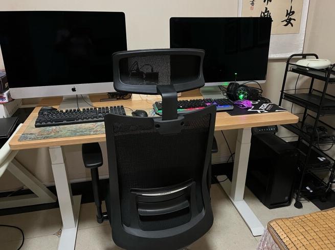 人体工学椅有没有用？实测盘点口碑最好的人体工学椅子