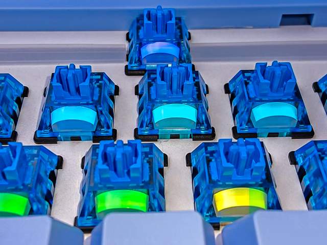 瑞翼鲨 × 思巴达 联合推出深海轴