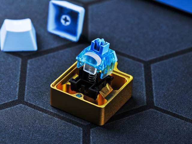 瑞翼鲨 × 思巴达 联合推出深海轴