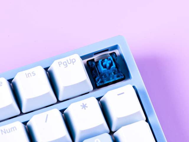 瑞翼鲨 × 思巴达 联合推出深海轴