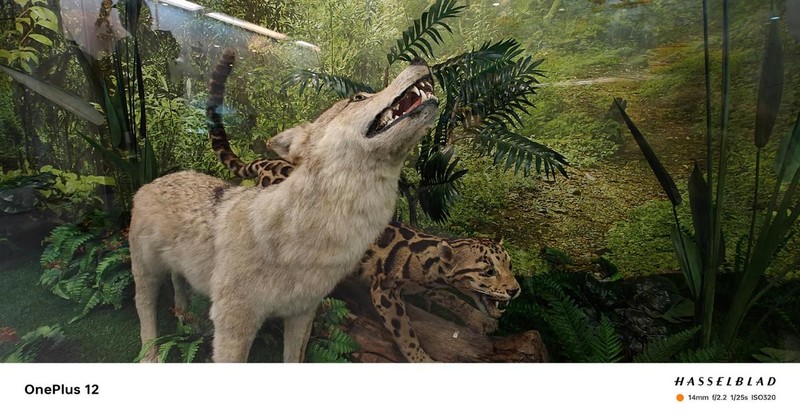 一加12影像深度评测!这哈苏味道,还要啥微单