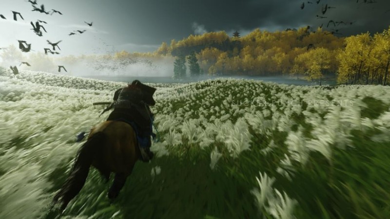 《对马岛之魂》峰值在线超7万！耕升 RTX 40 系即可拉满游戏体验