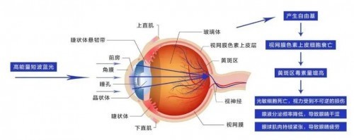 护眼灯最好的品牌排行榜前十名榜单优质推荐：小学生买什么台灯好