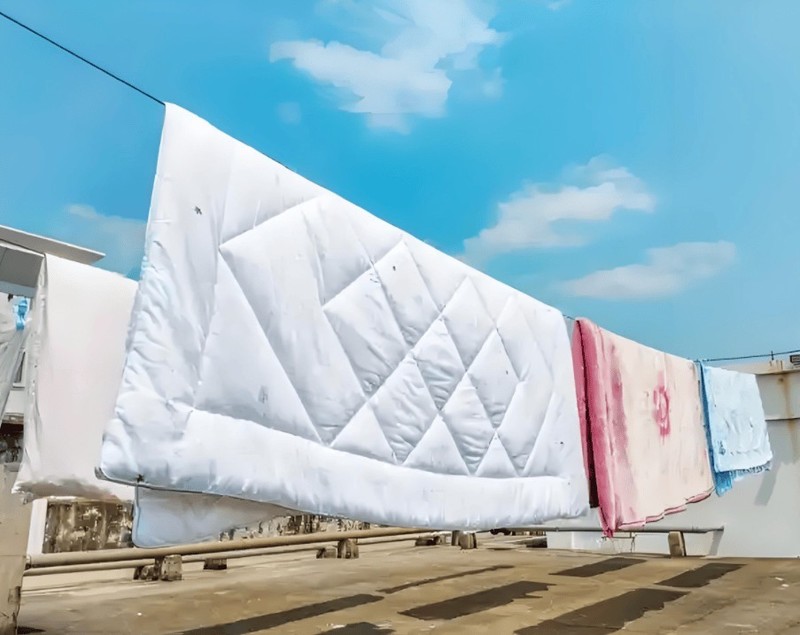 家用除螨仪是否真有用？2025年这5款除螨仪强烈推荐！必看！