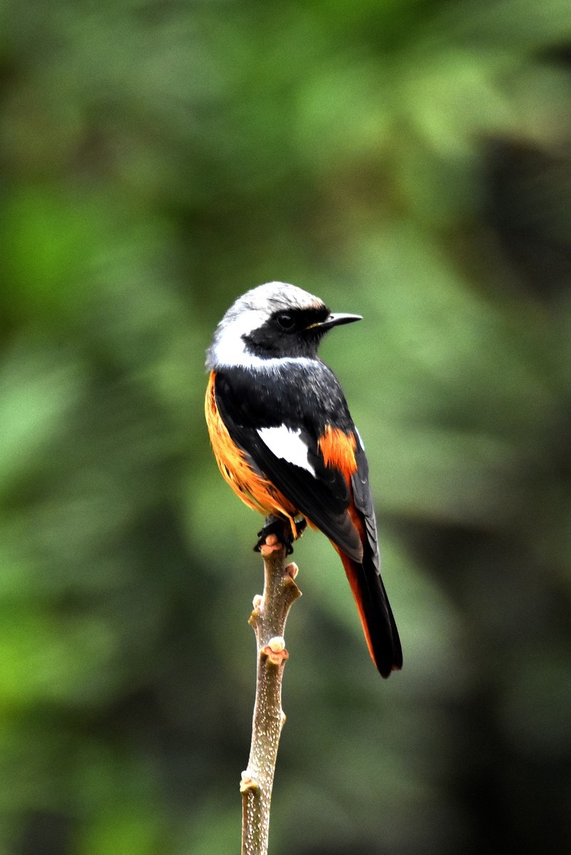 以前有个账号，不知什么原因无法登录了，重新申请这个账号，’