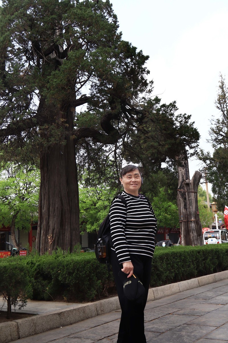 参观山东曲阜孔庙、孔府、孔林(四）