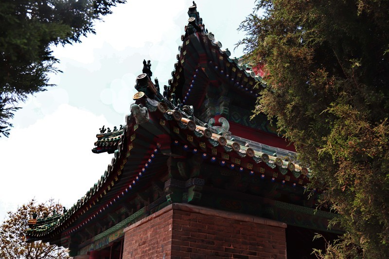 参观山东曲阜孔庙、孔府、孔林(四）