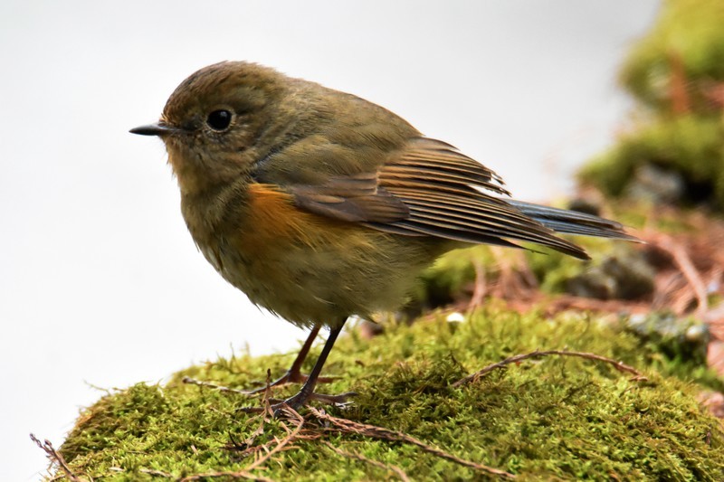 以前有个账号，不知什么原因无法登录了，重新申请这个账号，’
