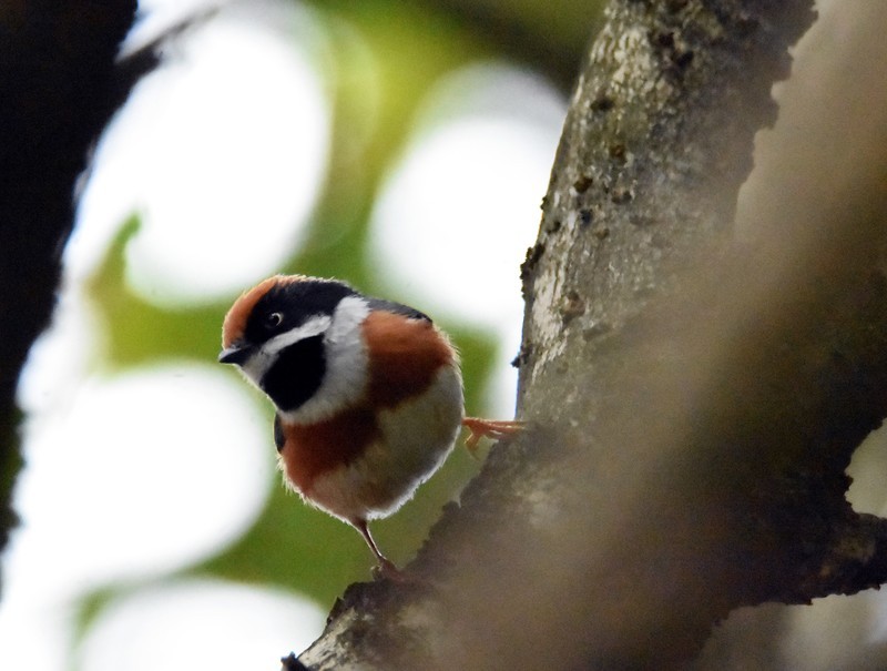 以前有个账号，不知什么原因无法登录了，重新申请这个账号，’