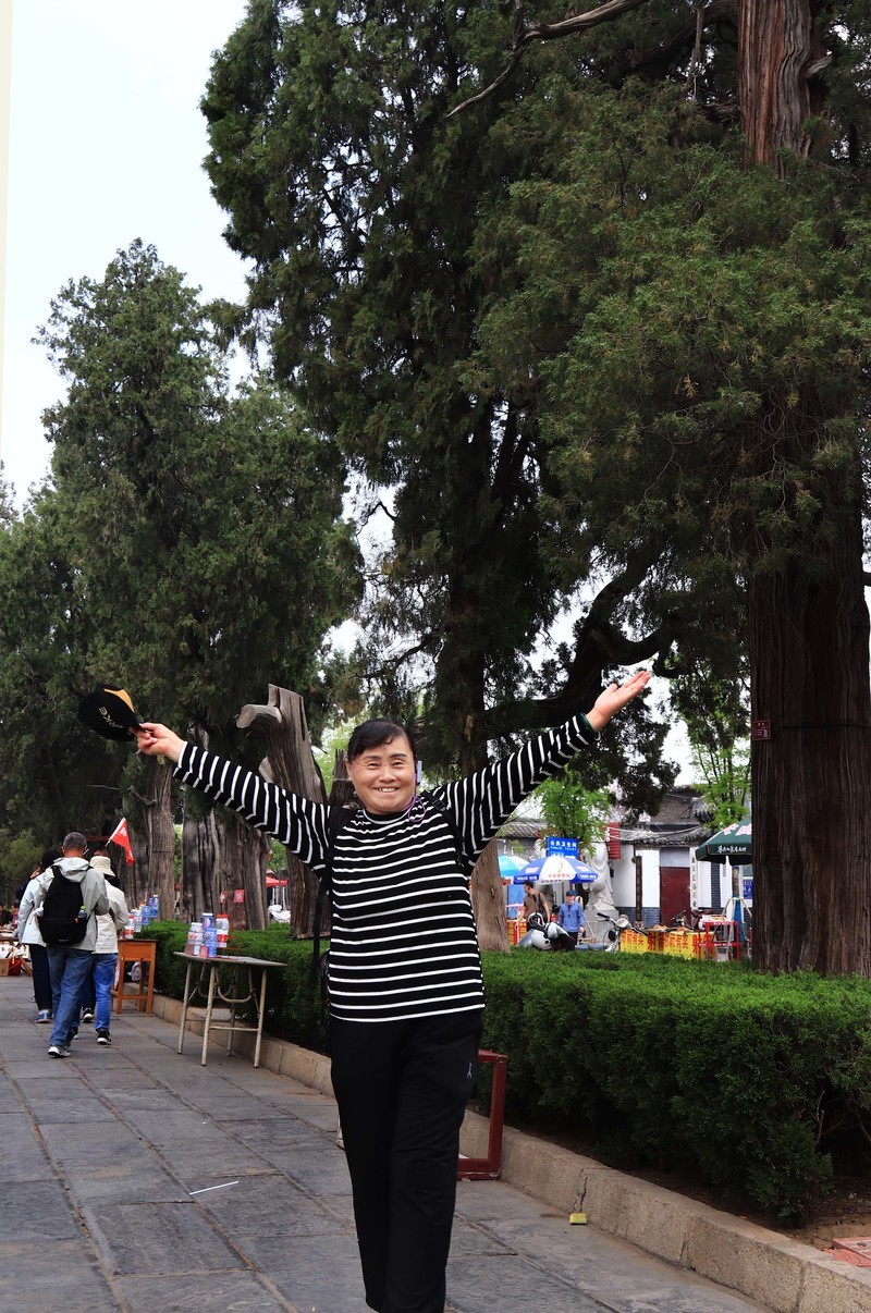 参观山东曲阜孔庙、孔府、孔林(四）