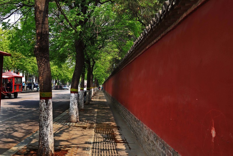 参观山东曲阜孔庙、孔府、孔林(四）