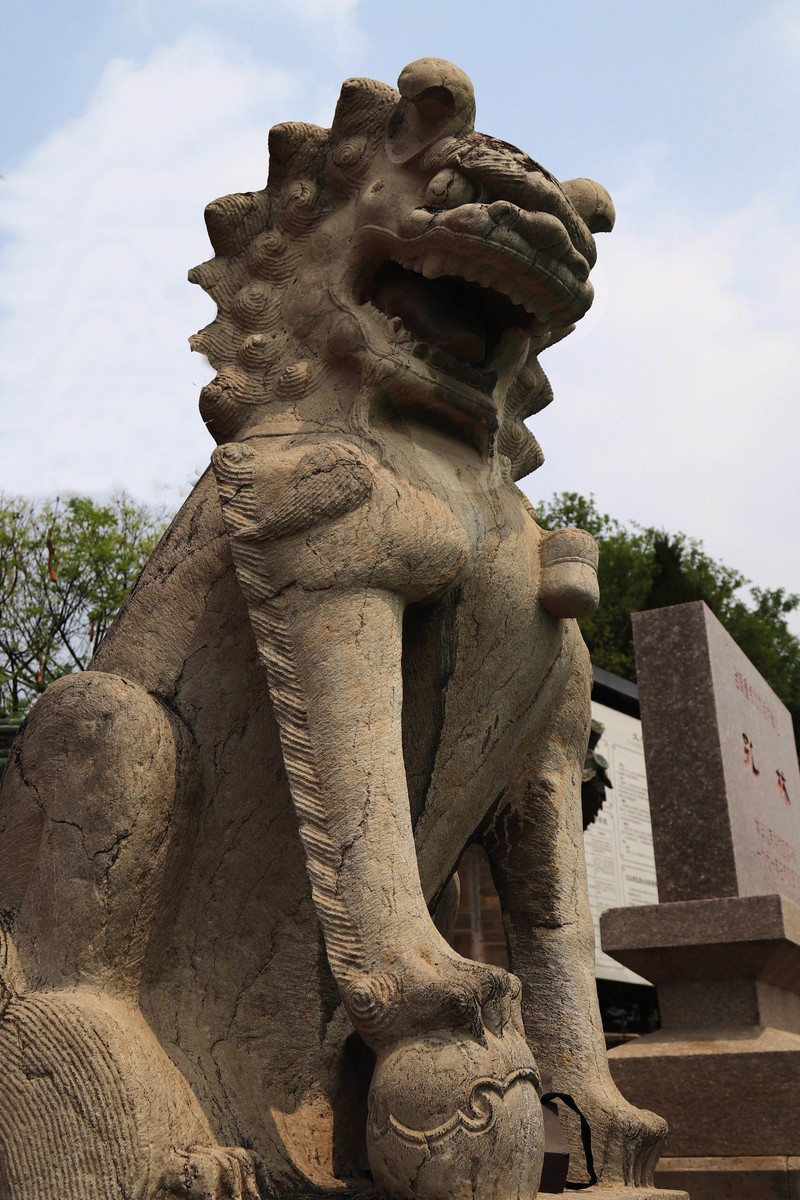 参观山东曲阜孔庙、孔府、孔林(四）