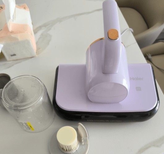 除螨仪真的能除螨吗？2025年最实用的5款除螨仪推荐！