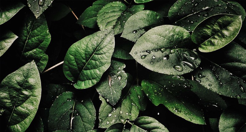 黄金尺寸，最接近“完美”的显示器，微星MPG 272URX QD-OLED体验