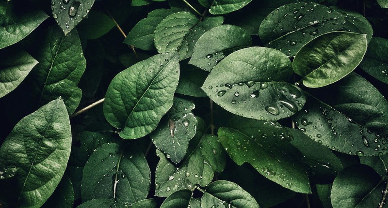 黄金尺寸，最接近“完美”的显示器，微星MPG 272URX QD-OLED体验