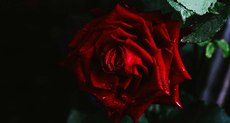 黄金尺寸，最接近“完美”的显示器，微星MPG 272URX QD-OLED体验