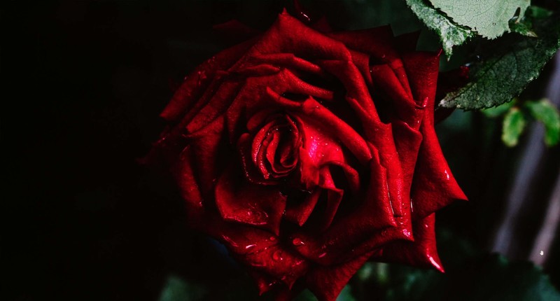 黄金尺寸，最接近“完美”的显示器，微星MPG 272URX QD-OLED体验