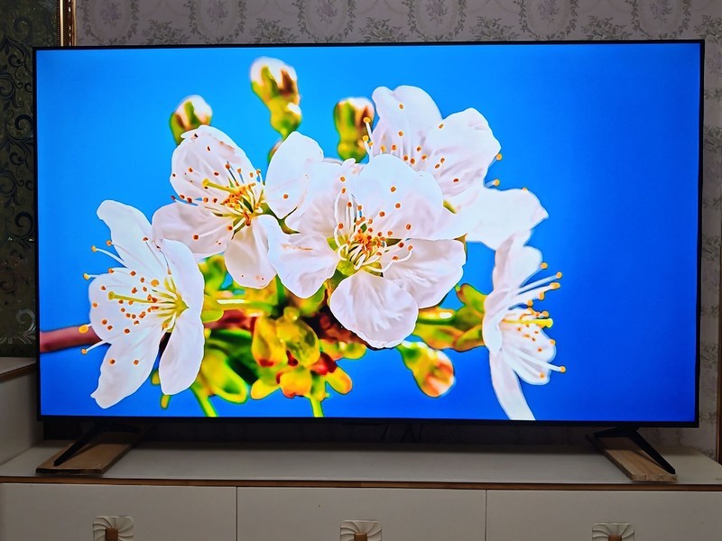 画质炸裂！首款搭载万象分区Mini LED电视画质有多好？TCL T6L首测