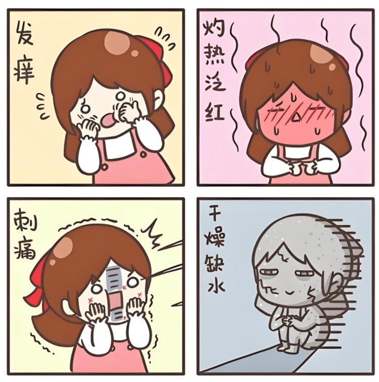 520真的适合送爱人除螨仪吗？2025年五大口碑王牌机型暖心推荐！