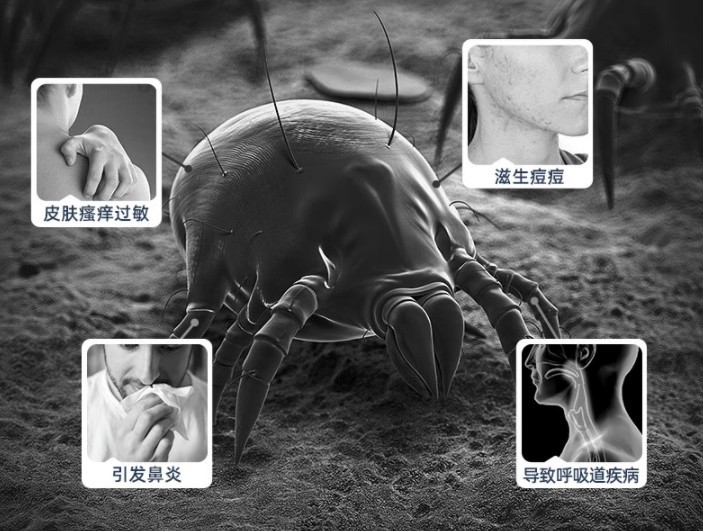 520真的适合送爱人除螨仪吗？2025年五大口碑王牌机型暖心推荐！