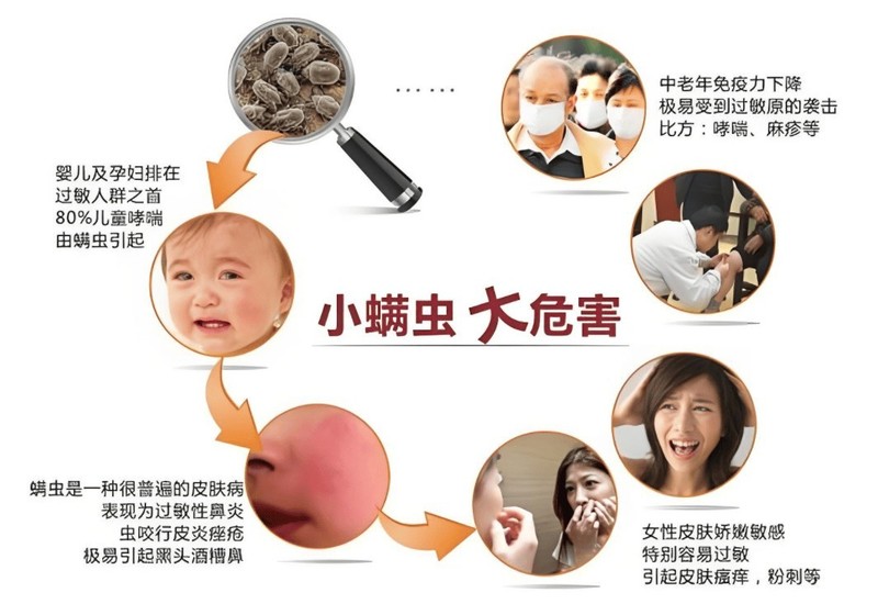 床上用品除螨仪到底有木有用？盘点五大硬核除螨仪机型！