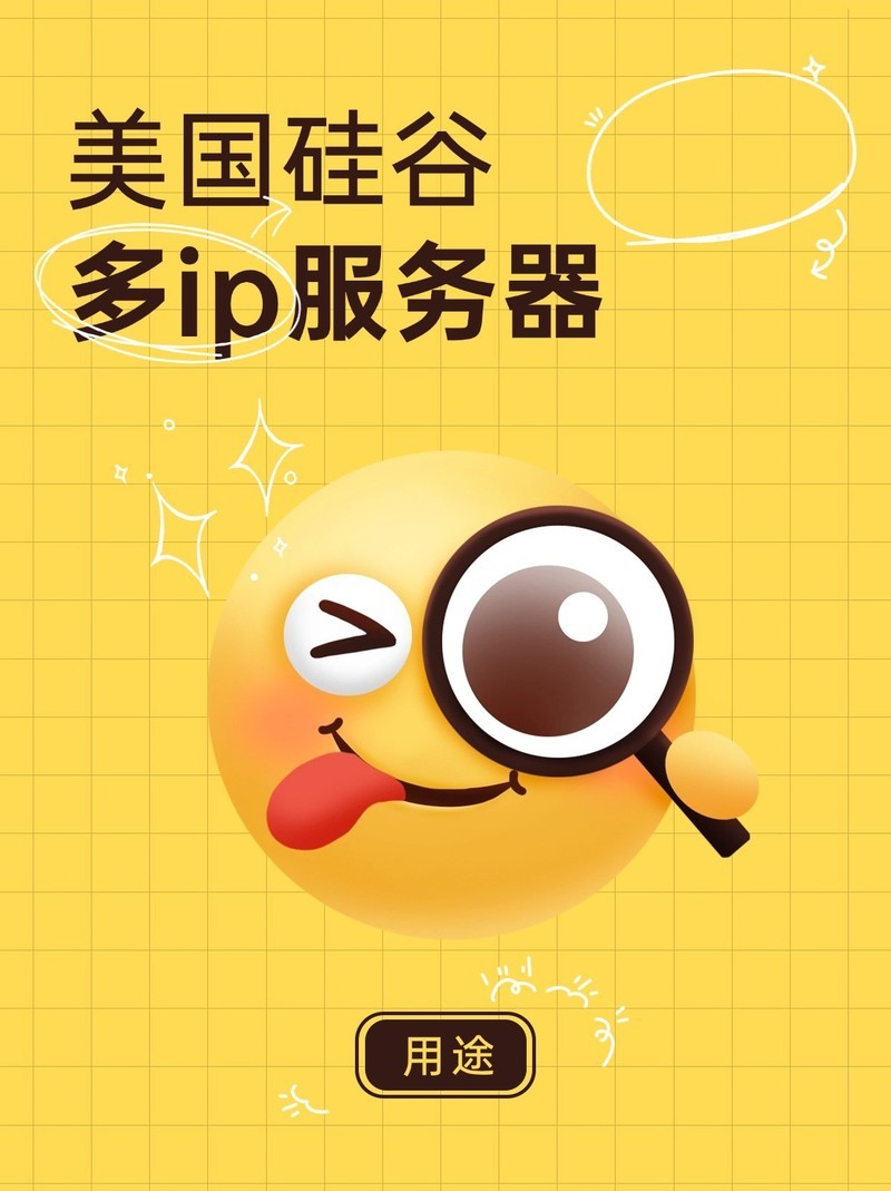美国硅谷多ip服务器用途广吗?