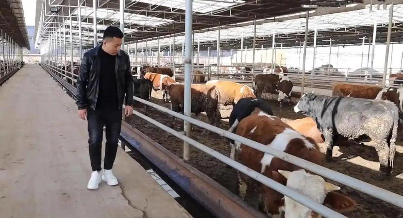 拼多多推出“千亿扶持”计划：重构电商新生态，助力商家完成新质转型