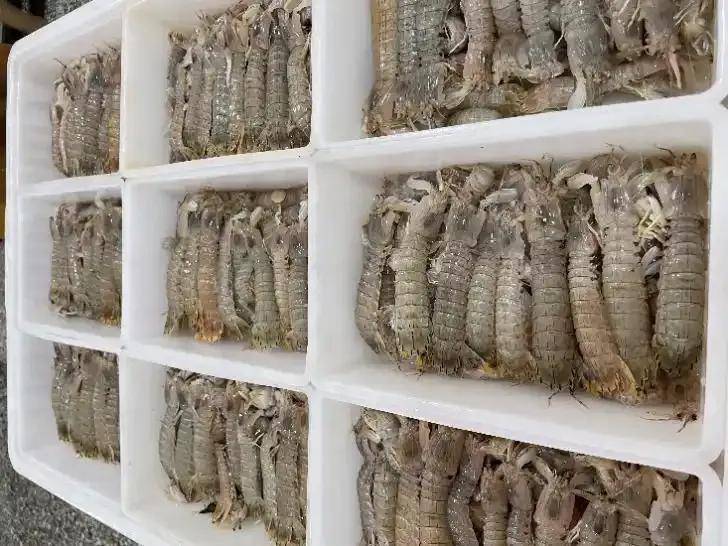 拼多多推出“千亿扶持”计划：重构电商新生态，助力商家完成新质转型