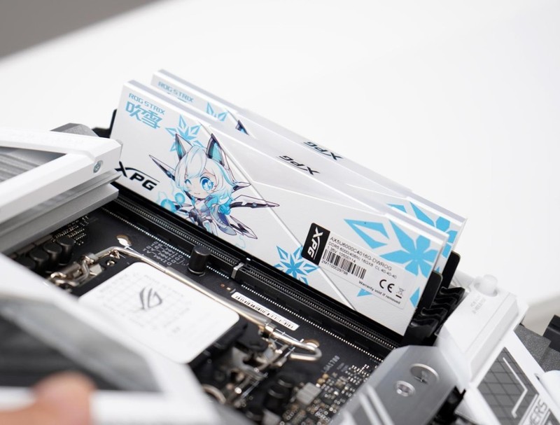 Z690吹雪主板颜值搭档：XPG龙耀DDR5吹雪联名内存评测