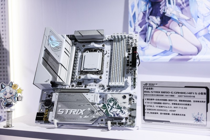 ROG DAY 2025 华硕主板秀出次世代战力