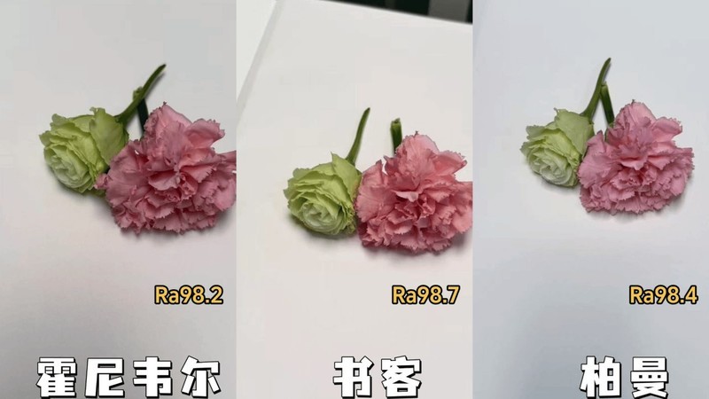 柏曼护眼大路灯好用吗？柏曼、书客、霍尼韦尔护眼大路灯实测PK