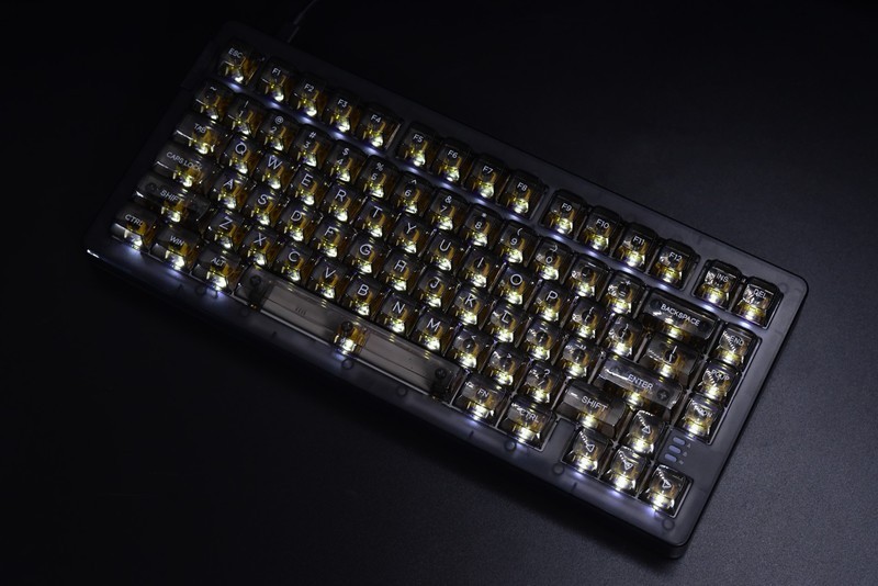 【拆解评测】贯彻软弹手感的达尔优A81弹力臂gasket结构机械键盘