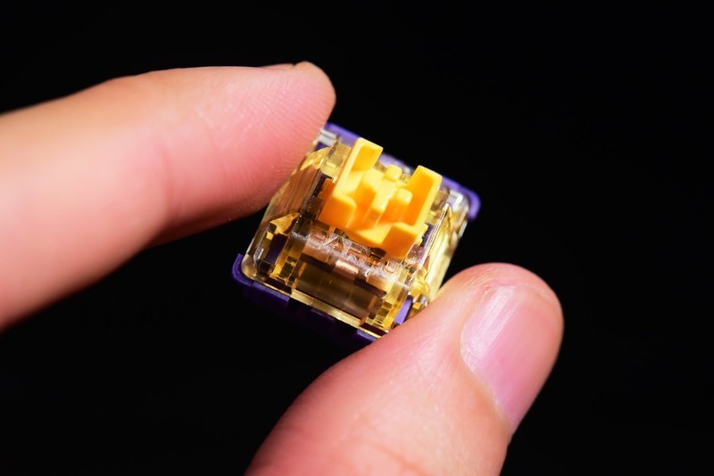 【拆解评测】贯彻软弹手感的达尔优A81弹力臂gasket结构机械键盘