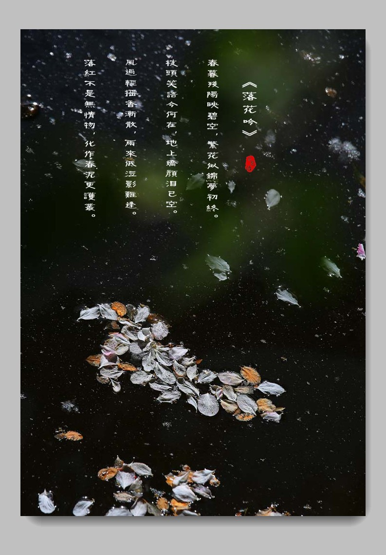 《每日欣赏》！！！