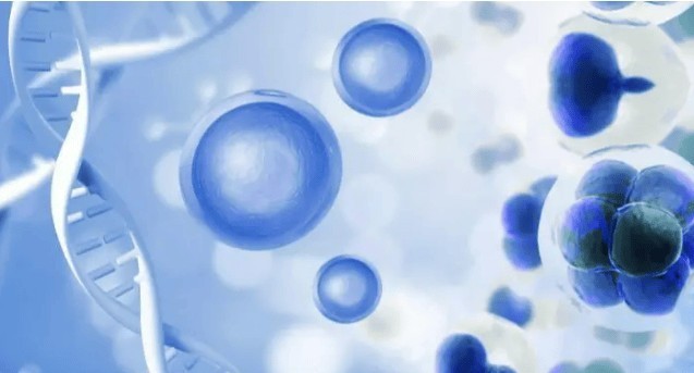 买超声波清洗机什么牌子好？四大优越上品超声波清洗机总汇