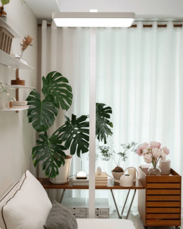 护眼落地灯哪款好？怎么选？2025最好最安全的专业护眼落地灯分享