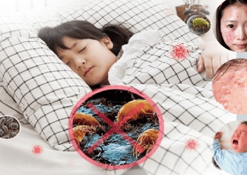 除螨仪排行榜前十有哪些？2025年度床上除螨仪十大文明用语排行榜