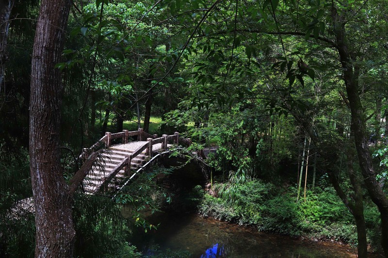 游览浙江永嘉丽水街（二）