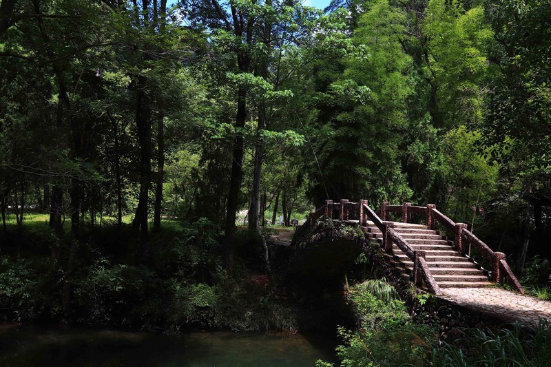 游览浙江永嘉丽水街（二）