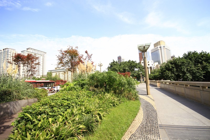 成都市锦江大桥秋色