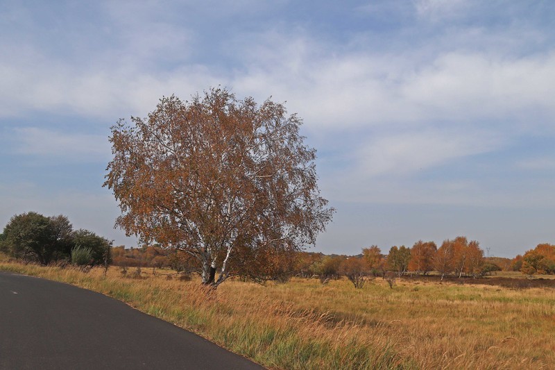 在承德昔日的皇家猎苑体验生活（三）