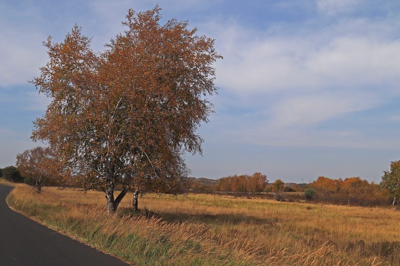 在承德昔日的皇家猎苑体验生活（三）