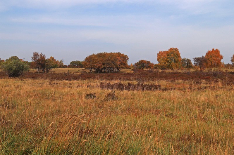 在承德昔日的皇家猎苑体验生活（三）